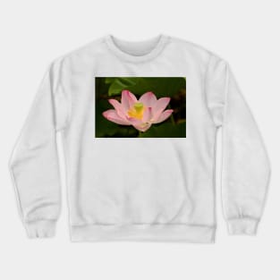 Pink lotus flower Crewneck Sweatshirt